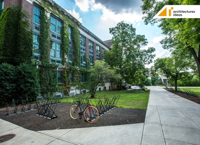 School and College Design Tips
