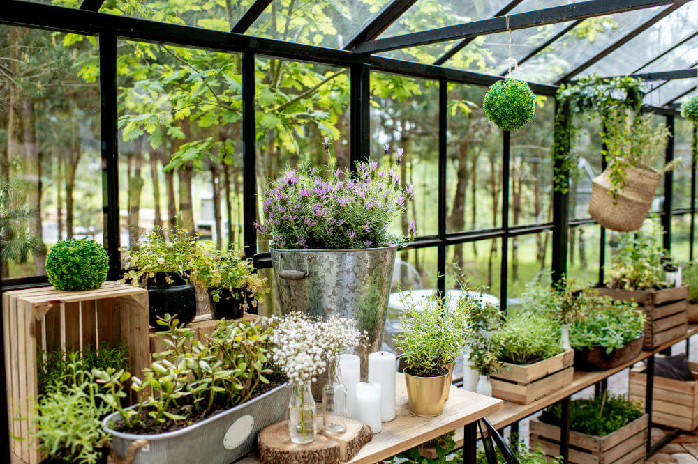 Consider Staging in greenhouse