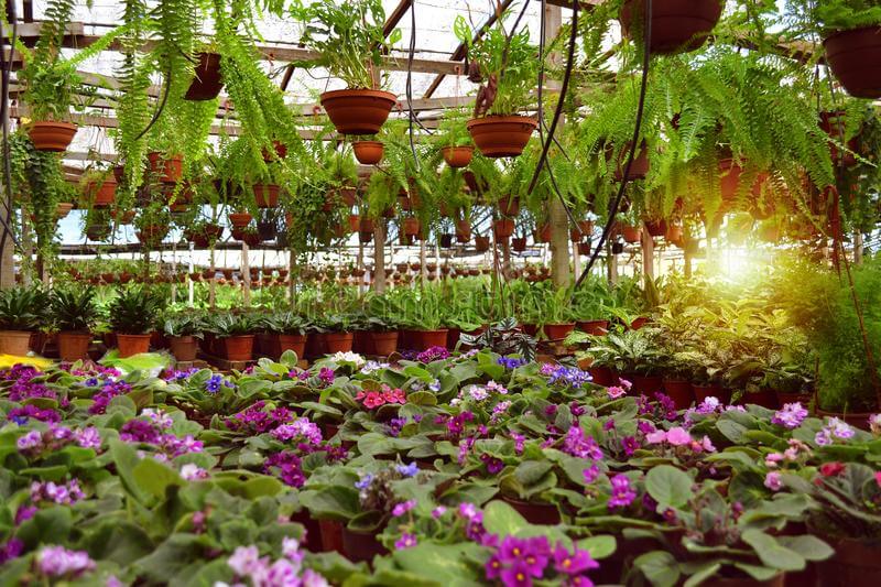 7 Tips For Organizing Your Greenhouse In a Stylish Way - Architectures ...