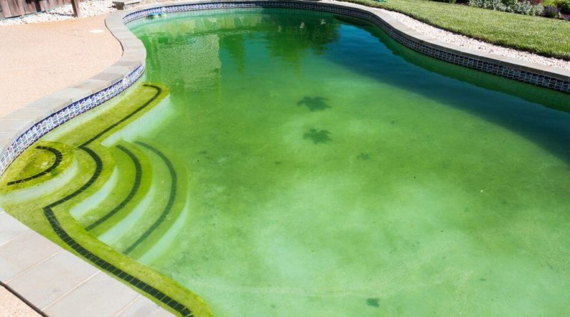 how to clean your pool