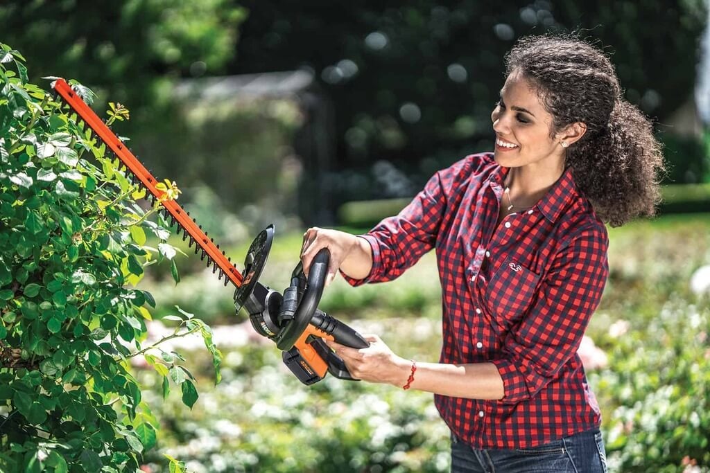 Buying a Hedge Trimmer