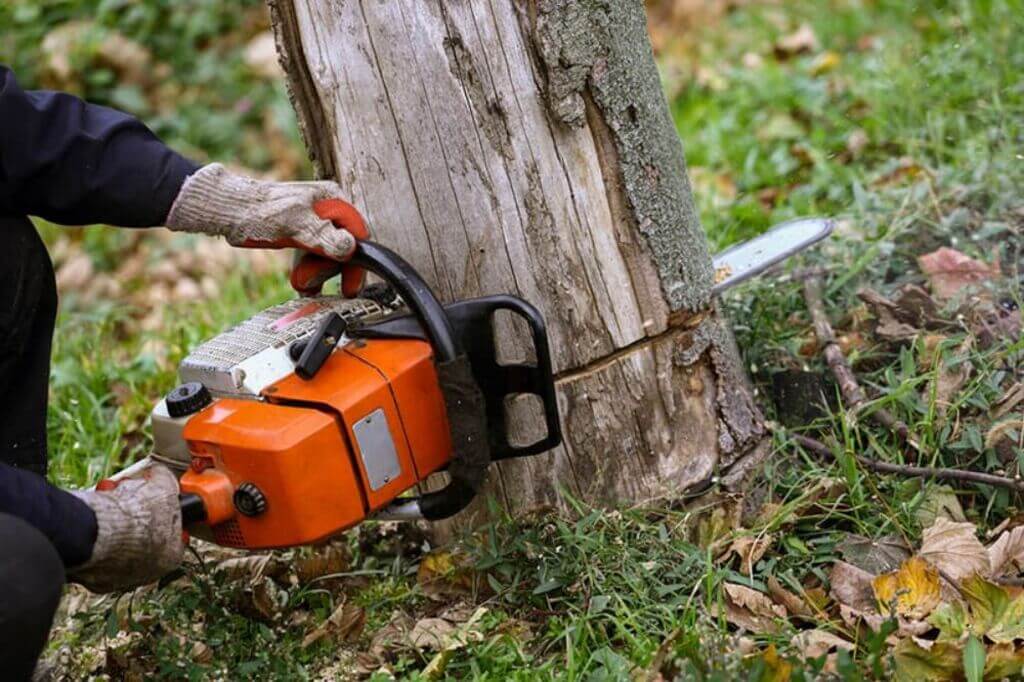 Remove a Tree Stump from Your Property