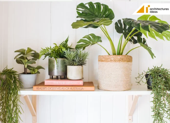 Myth About Artificial Plant