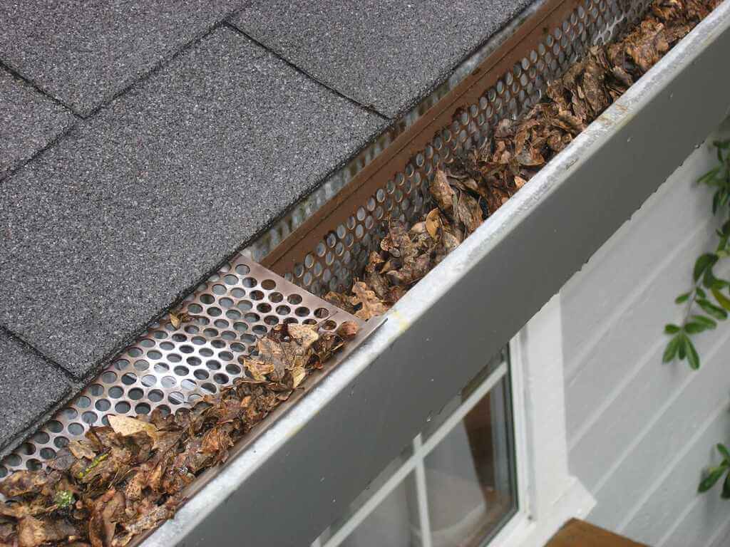 Keep the Gutters and Roof Clean to Keep Your Roof in Great Shape