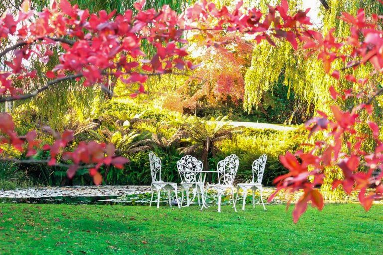 How to Transform Your Yard into a Small Paradise - Architectures Ideas
