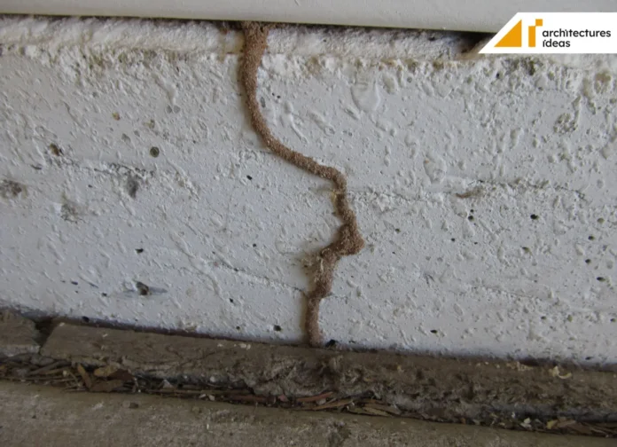 Ways to Treat Termites