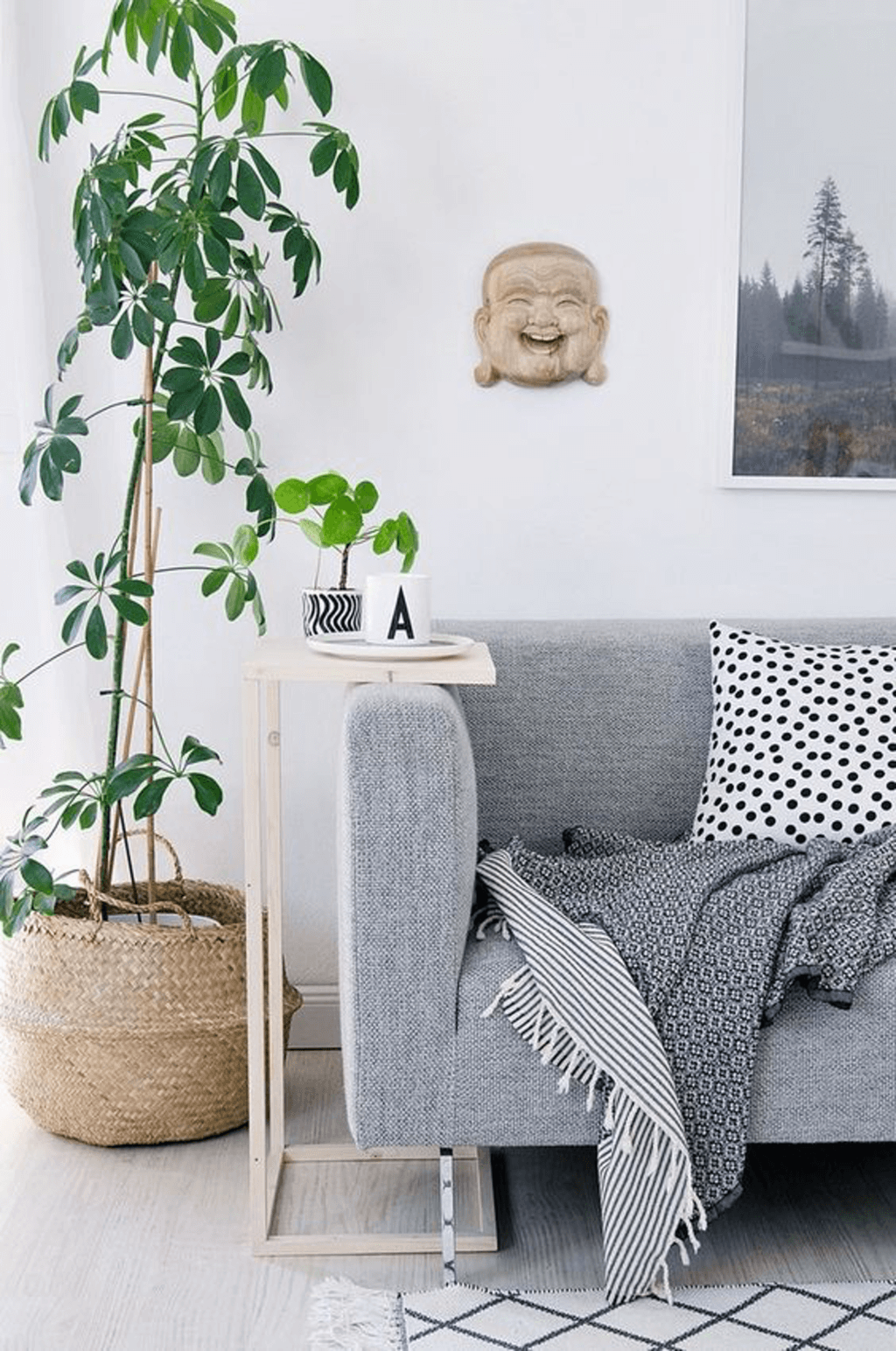tall house plants