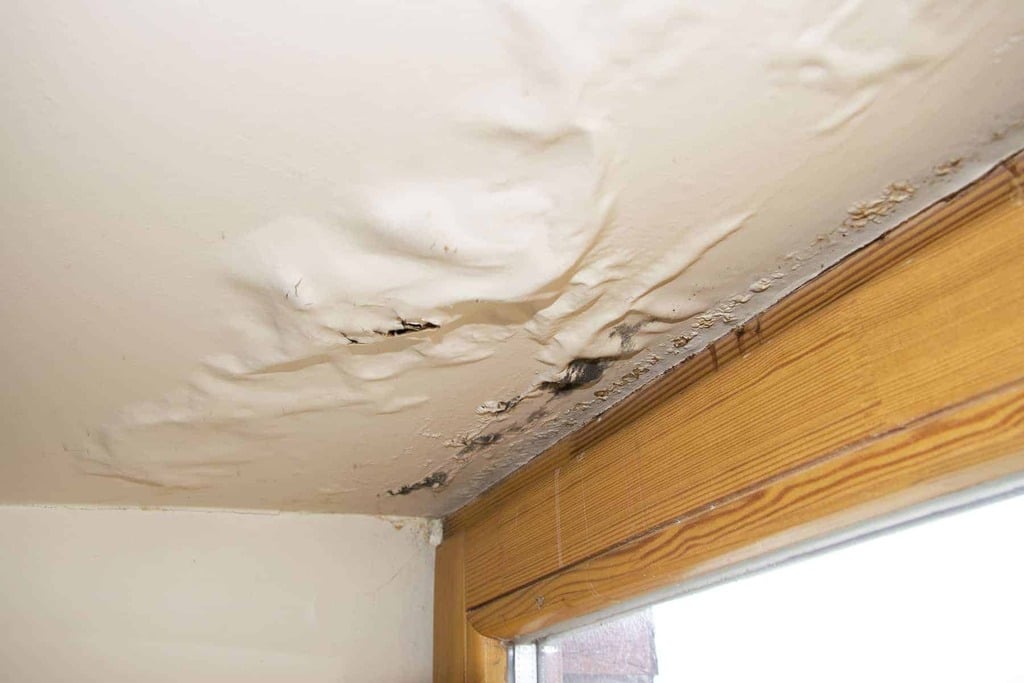 Roof Maintenance: Leaks in the Attic and Ceilings