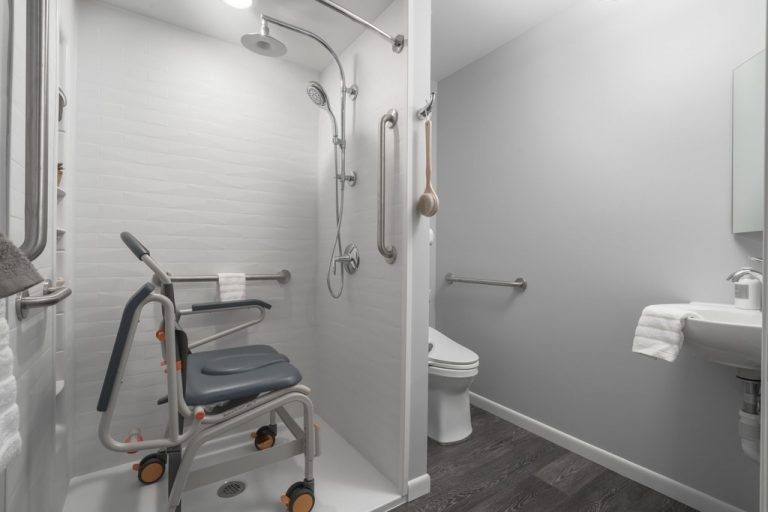 ADA Bathroom Layout How to Build a Handicap Toilet?