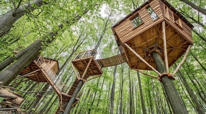 how to build a treehouse