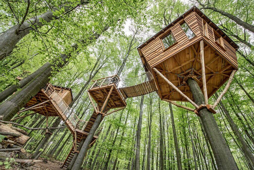 The Roof To Build A Treehouse
