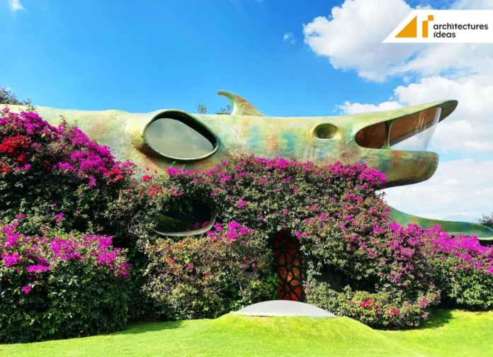 Organic House Organic House