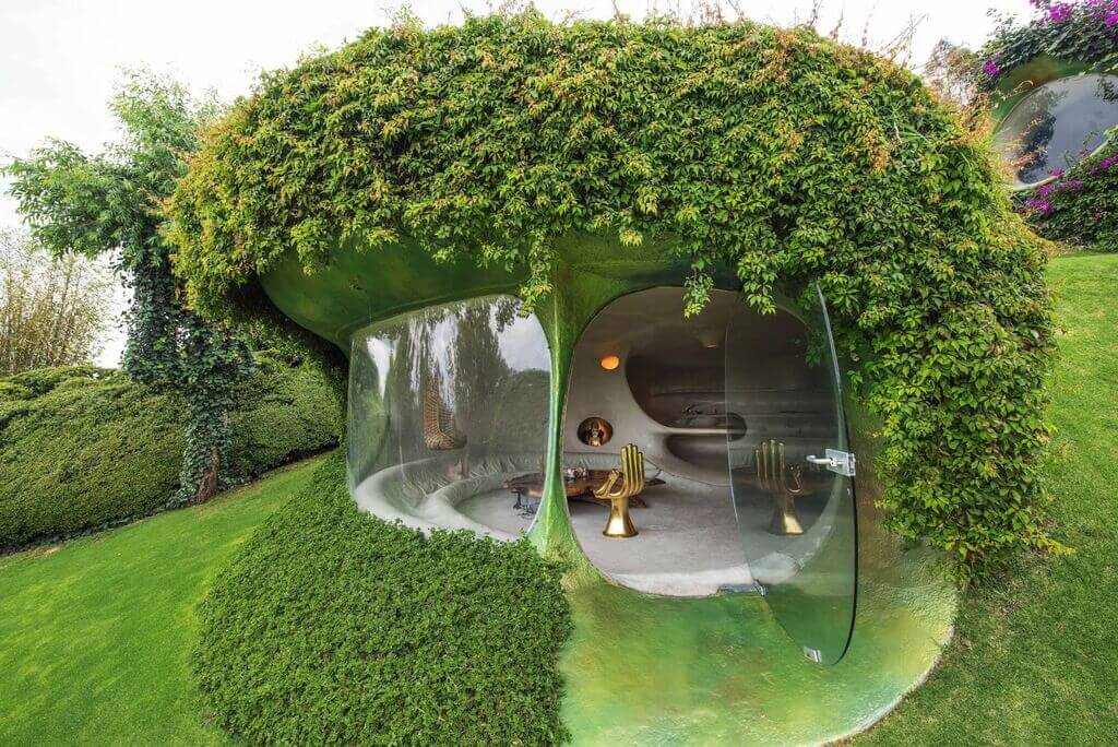 A organic house with a green roof and plants growing on the side of it
