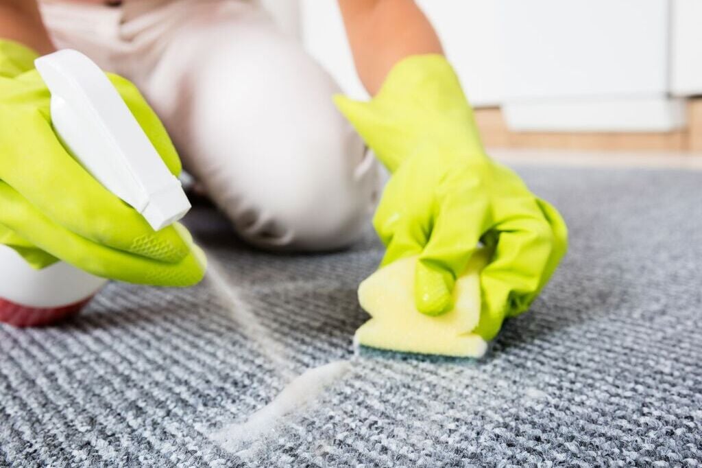 Clean Stained Carpet with Ammonia