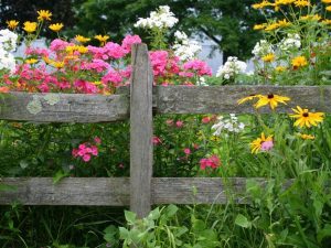 15 Gorgeous Flower Bed Ideas That You Should Try In 2024   Flower Bed Designs 15 300x225 