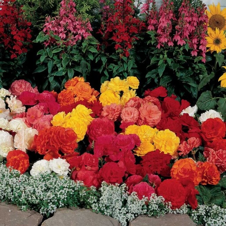 15 Gorgeous Flower Bed Ideas That You Should Try In 2024   Flower Bed Ideas 3 768x768 