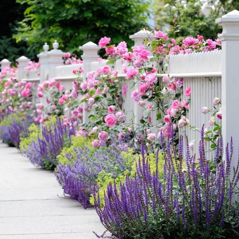 15 Flower Bed Ideas That You Should Try in 2022