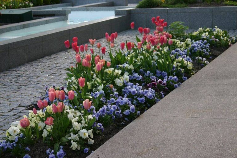 15 Flower Bed Ideas That You Should Try in 2023