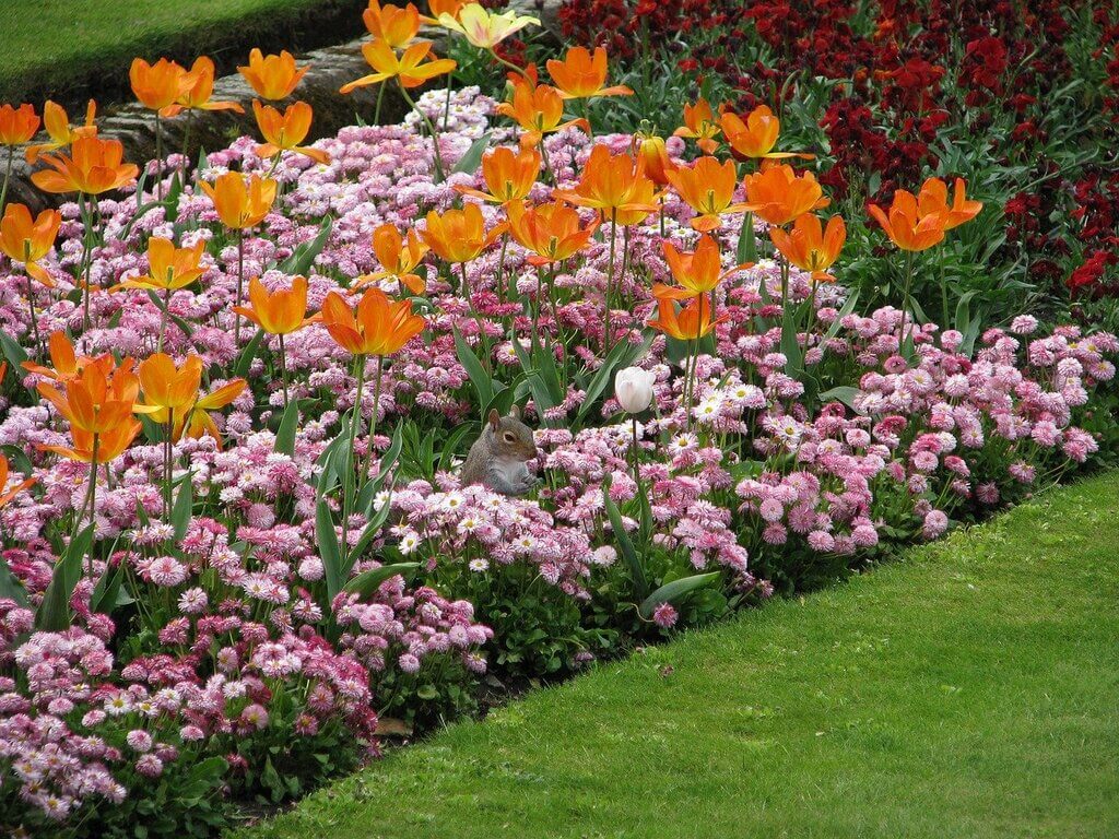 flower garden designs