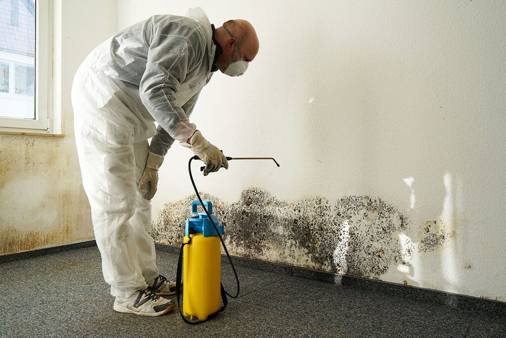 Is Your Basement Mold-Free