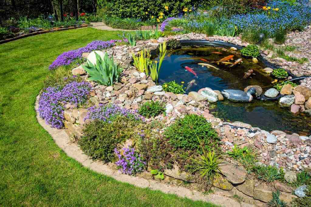 A Pond Is a Tranquil Place for You to Relax and Enjoy Nature