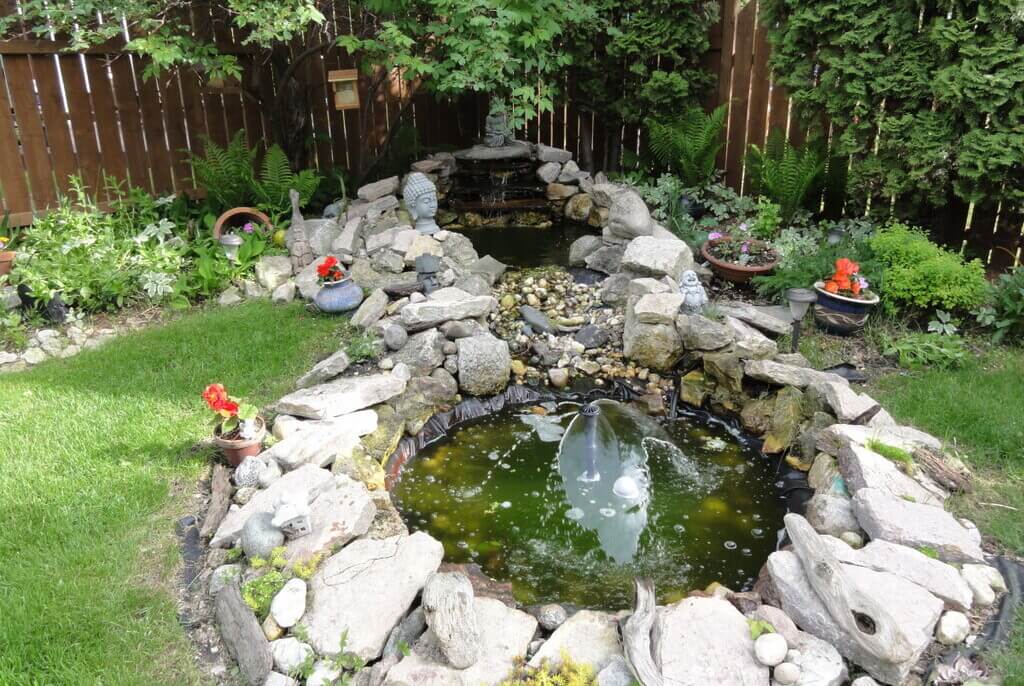 Pond in Your Garden Improve Air Quality by Absorbing Dust Particles