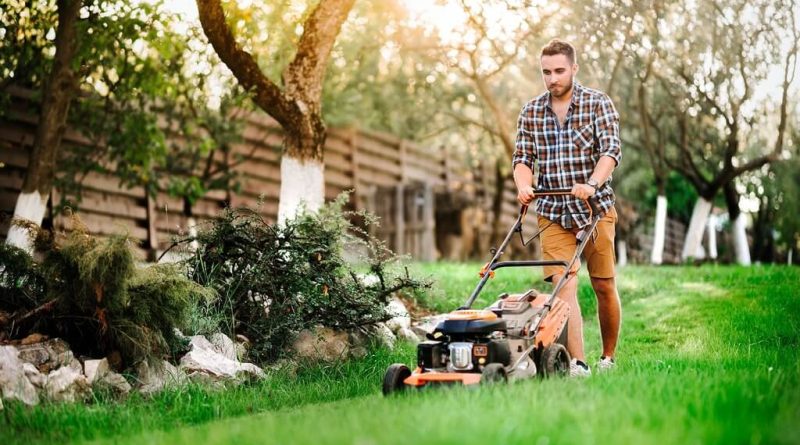 Causes of Lawn Damage