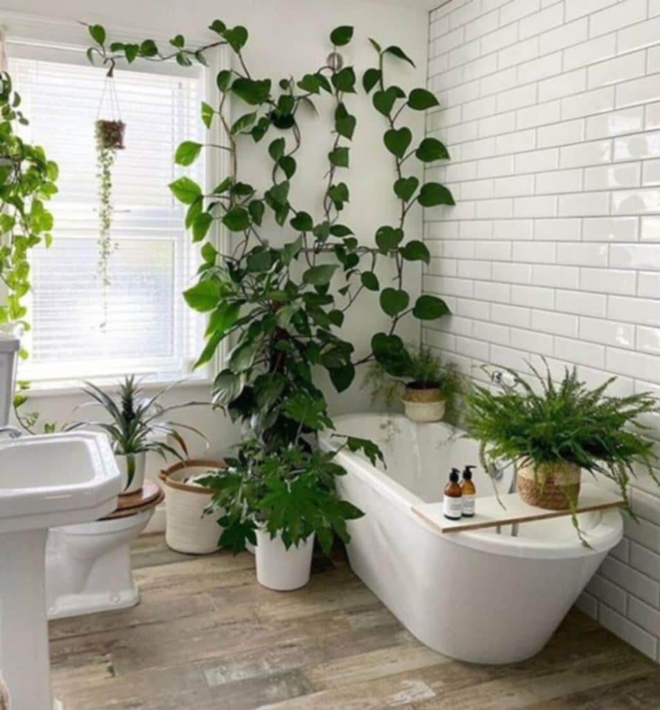 7 Bathroom Trends 2022 to Create a Bathroom of Your Dreams