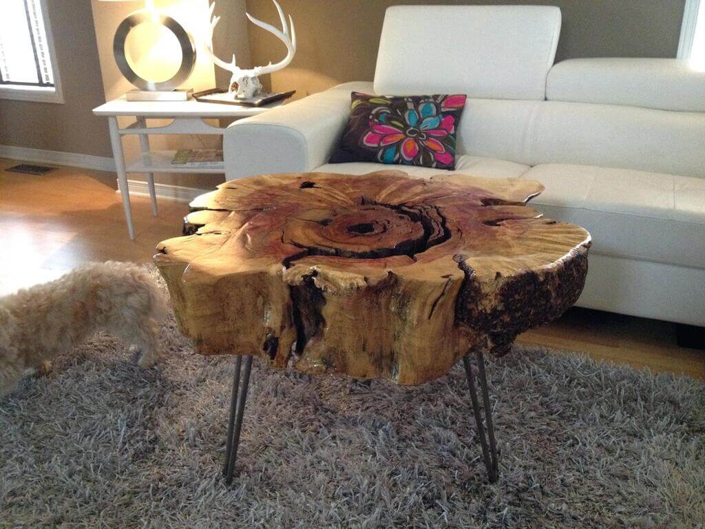 Home and Garden Renovation Ideas: Tree Trunk Table