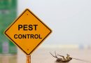 Top 10 Reasons Why Annual Pest Control Is Important