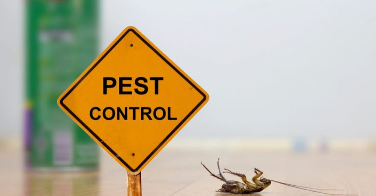 Why Annual Pest Control Is Important and its Benefits?