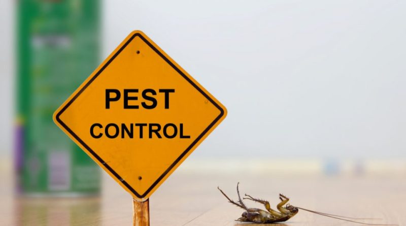 Why Annual Pest Control Is Important
