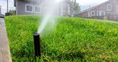 What Should You Know About Plumbing Systems When Designing a Home Garden?