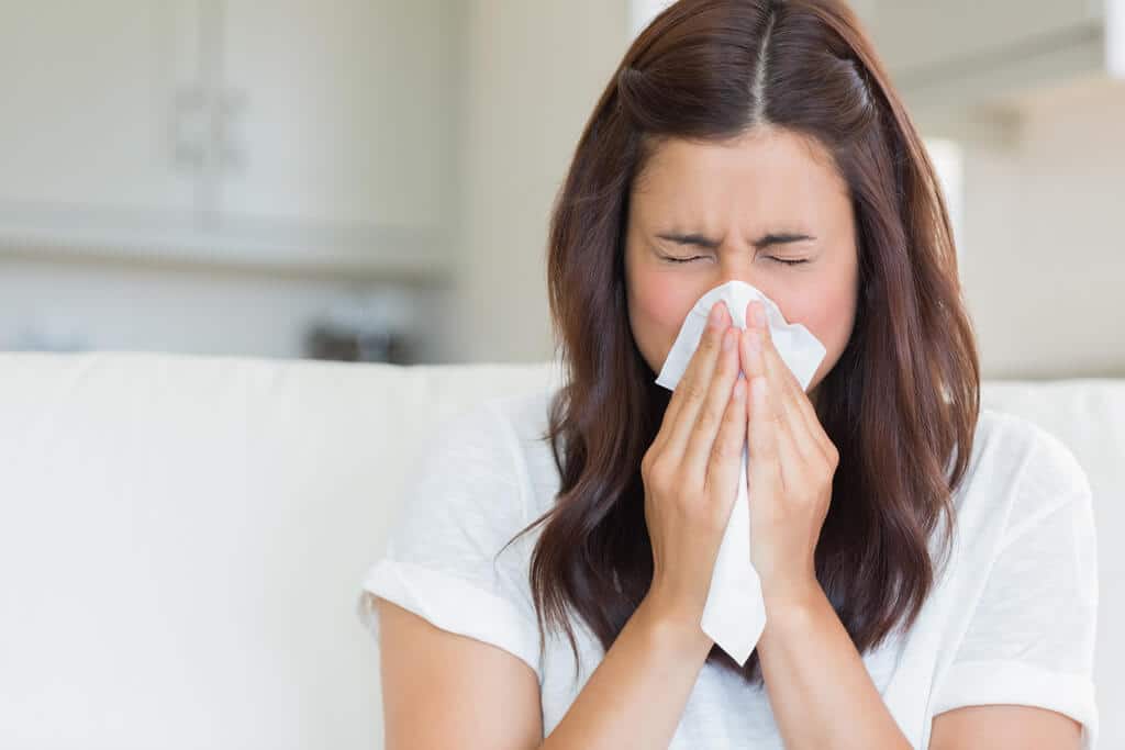 Control Allergens and Improve Indoor Air Quality