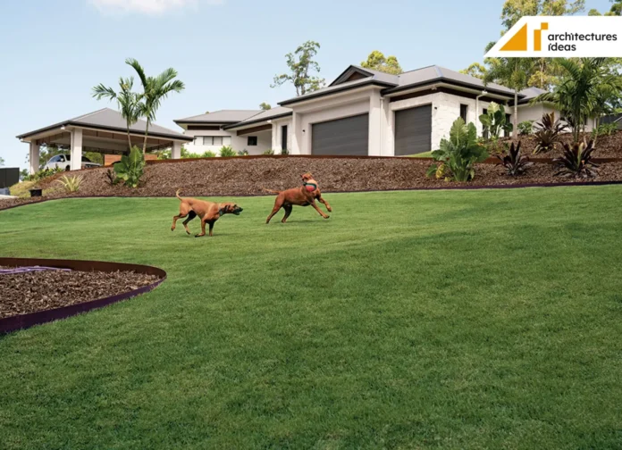 Best Lawn Type