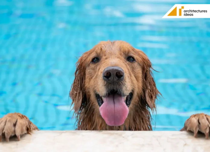 Pool safety Pool safety