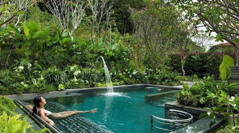 best plants for the pool