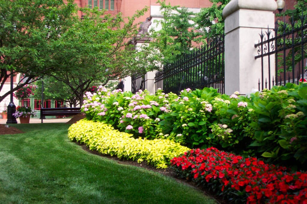 Native Planting in Commercial Landscaping