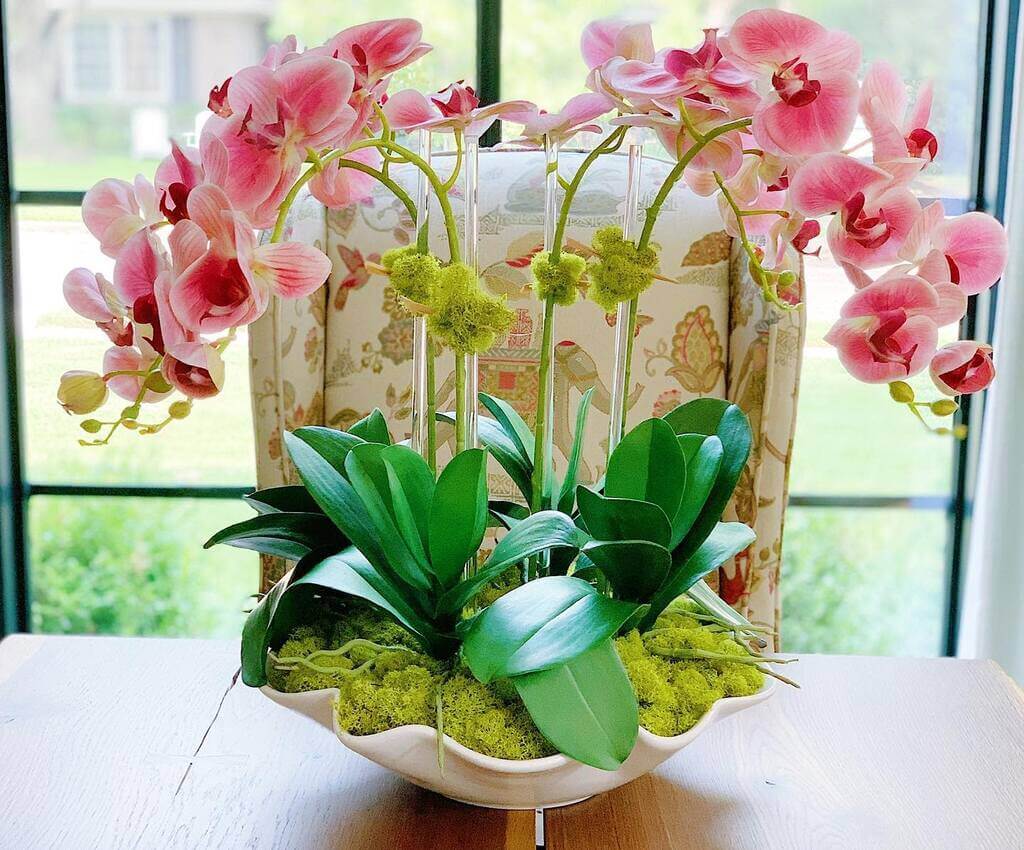 Orchid Centerpiece