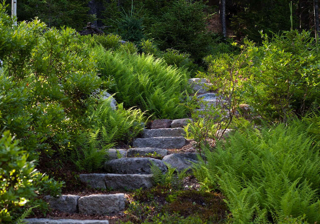 hillside landscaping ideas on a budget