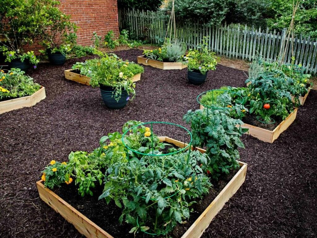 A garden filled with lots of different types of vegetables
 