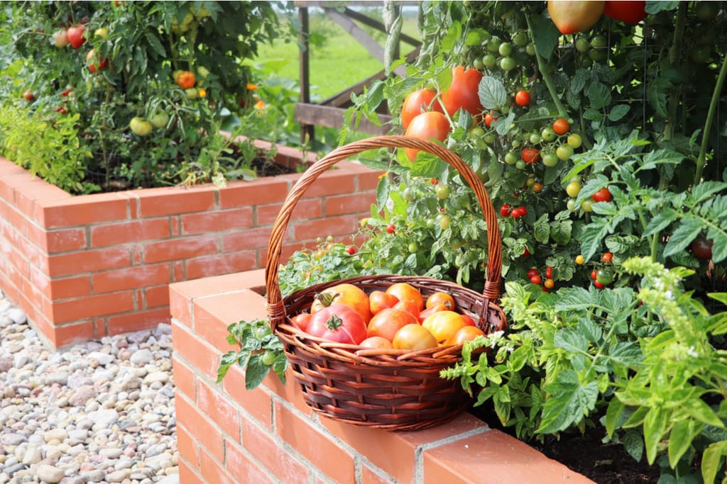 A basket of fruit sitting on top of a brick wall
 