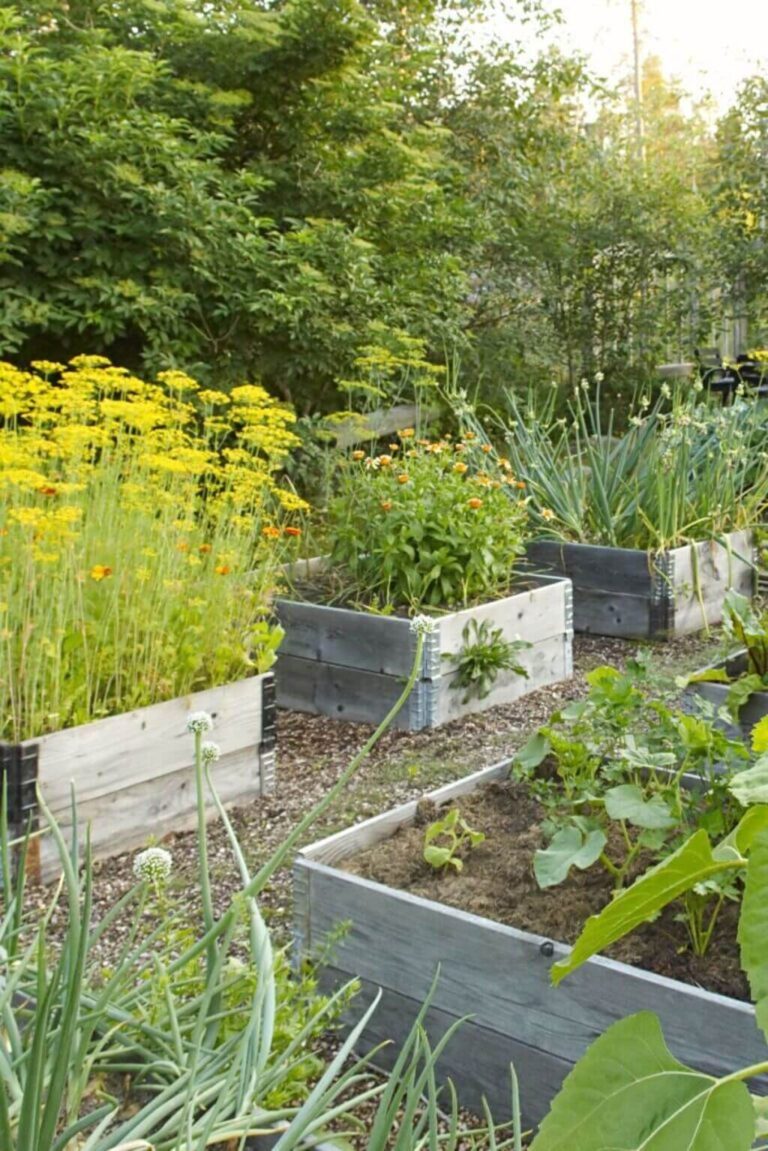 23+ Inexpensive Raised Garden Bed Ideas That You Can Easily DIY