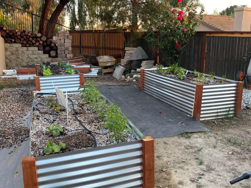 A garden area with a fence and various plants

