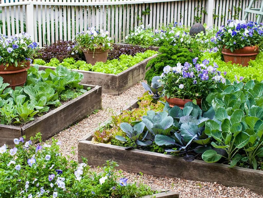 inexpensive raised garden bed ideas 