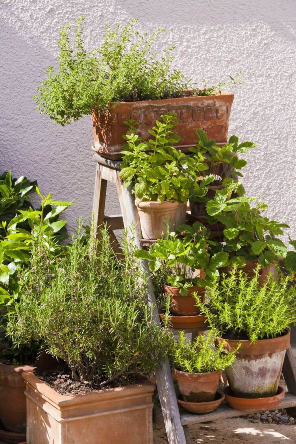 Stepped Planters for  Inexpensive Raised Garden Bed Ideas  