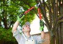 8 Annual Home Maintenance Practises to Never Skip
