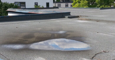 Check Out The Effects of Ponding Water on the Roof