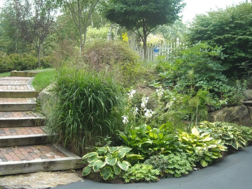 sloped backyard ideas