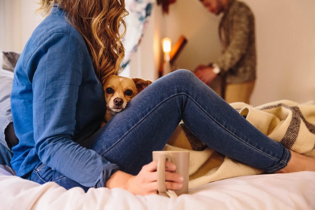 Finding a Pet-Friendly Apartment in Seattle Pet-Friendly Apartments